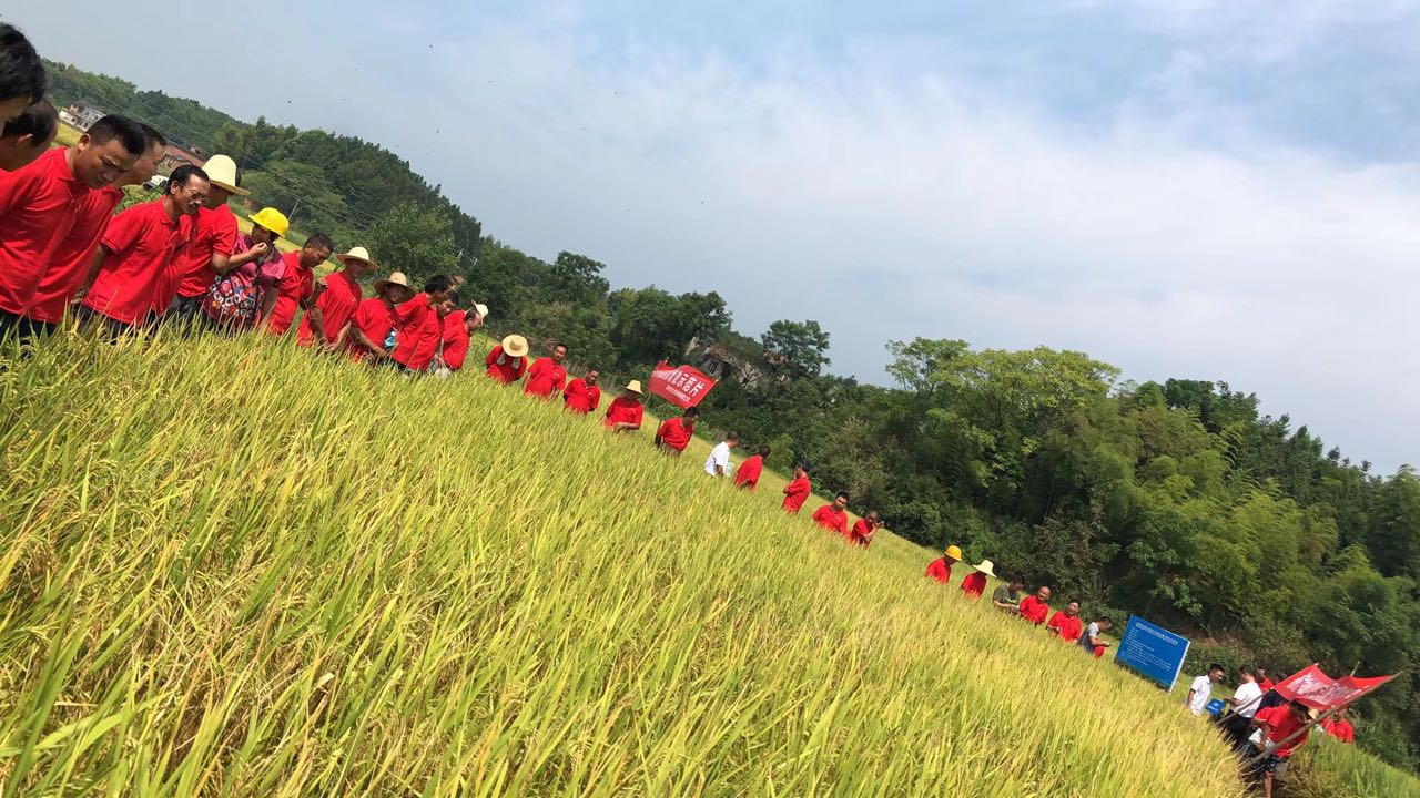 郴州市金土地化肥有限公司,湖南配方肥定點加工,林木肥銷售,有機(jī)肥質(zhì)量