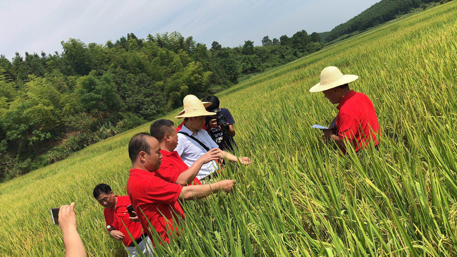 郴州市金土地化肥有限公司,湖南配方肥定點加工,林木肥銷售,有機(jī)肥質(zhì)量